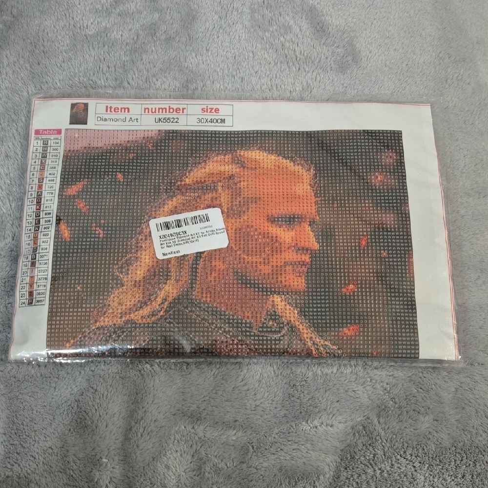 Diamond Art Kit with Warrior Design